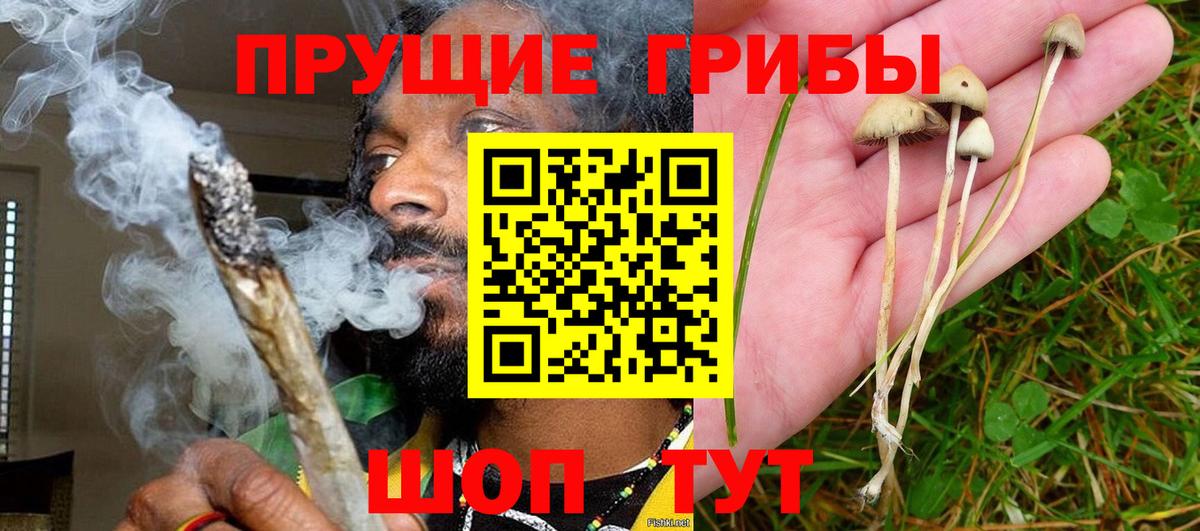 Галлюциногенные грибы мицелий  Вход с VPN  Заречный 